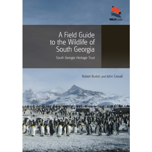 Princeton University Press A Field Guide to the Wildlife of South Georgia (häftad, eng)