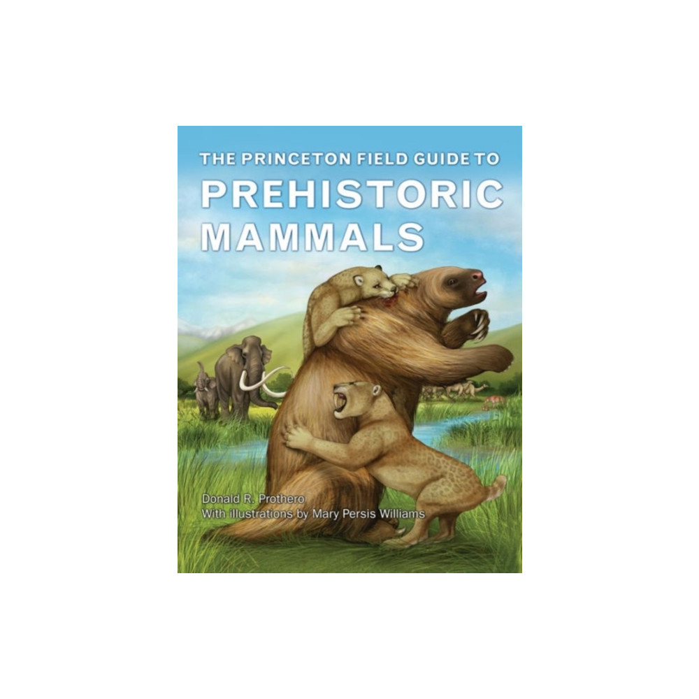 Produktbild för The Princeton Field Guide to Prehistoric Mammals (inbunden, eng)