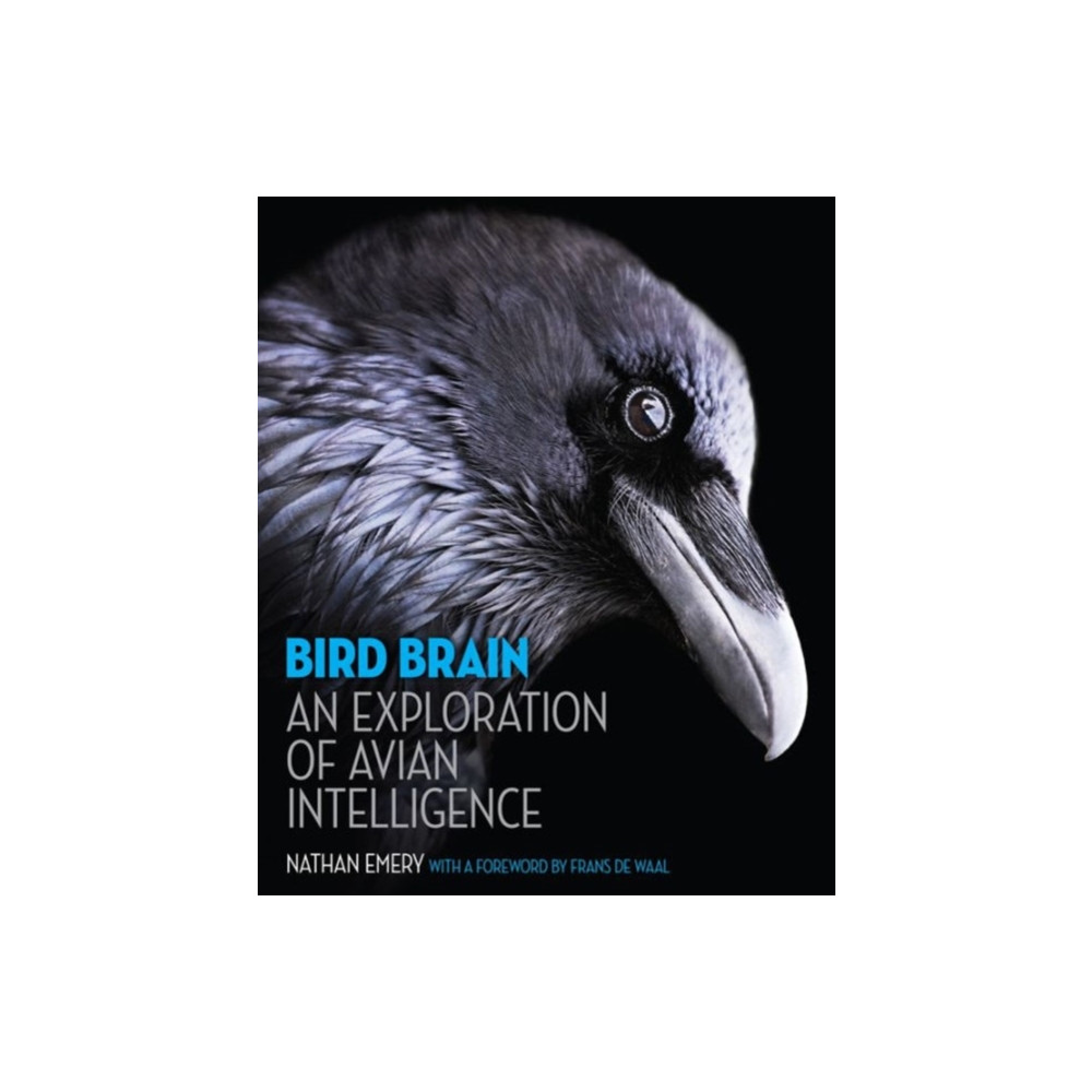 Produktbild för Bird Brain (inbunden, eng)