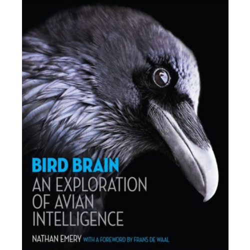 Princeton University Press Bird Brain (inbunden, eng)