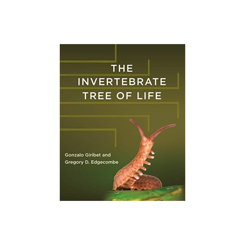 Produktbild för The Invertebrate Tree of Life (inbunden, eng)