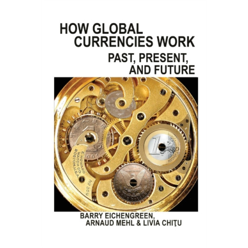 Princeton University Press How Global Currencies Work (häftad, eng)