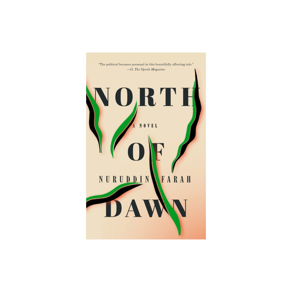 Produktbild för North of Dawn (häftad, eng)