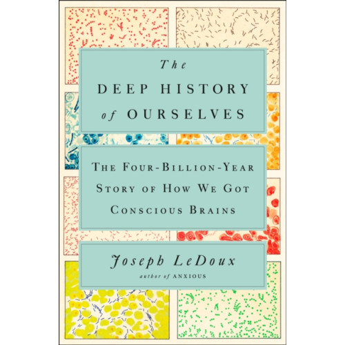 Prentice Hall Press The Deep History of Ourselves (inbunden, eng)