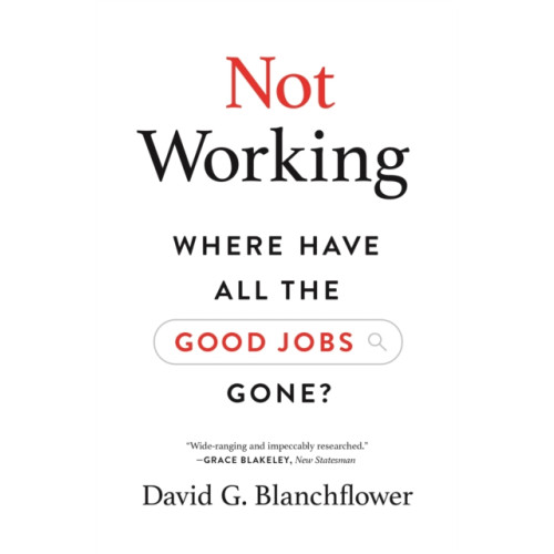 Princeton University Press Not Working (häftad, eng)