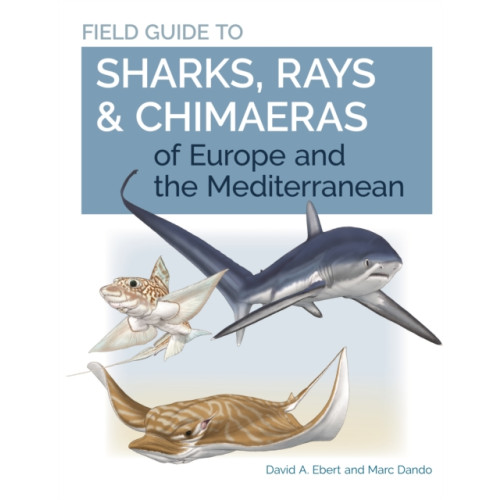 Princeton University Press Field Guide to Sharks, Rays & Chimaeras of Europe and the Mediterranean (häftad, eng)