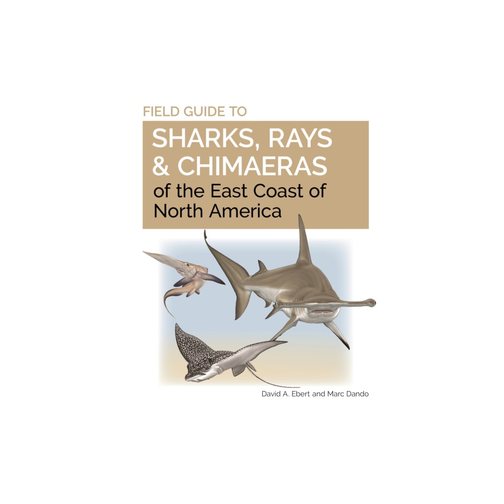 Produktbild för Field Guide to Sharks, Rays and Chimaeras of the East Coast of North America (häftad, eng)