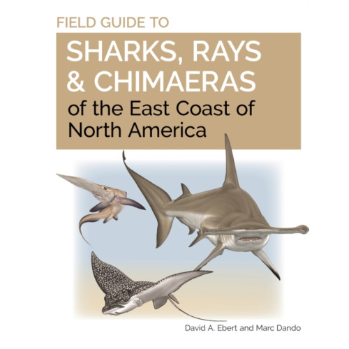 Princeton University Press Field Guide to Sharks, Rays and Chimaeras of the East Coast of North America (häftad, eng)