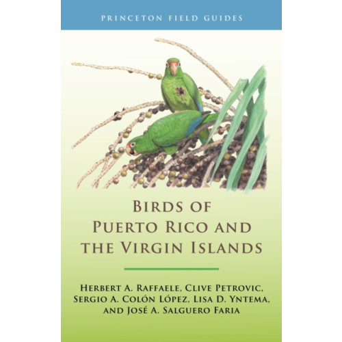 Princeton University Press Birds of Puerto Rico and the Virgin Islands (häftad, eng)