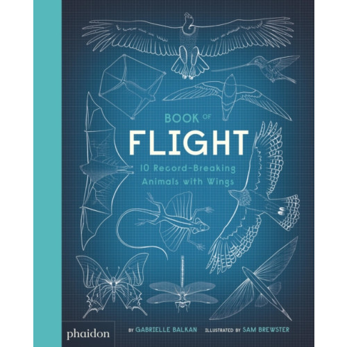 Phaidon Press Ltd Book of Flight (inbunden, eng)