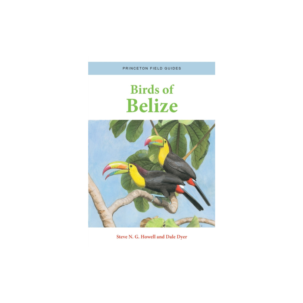 Produktbild för Birds of Belize (häftad, eng)