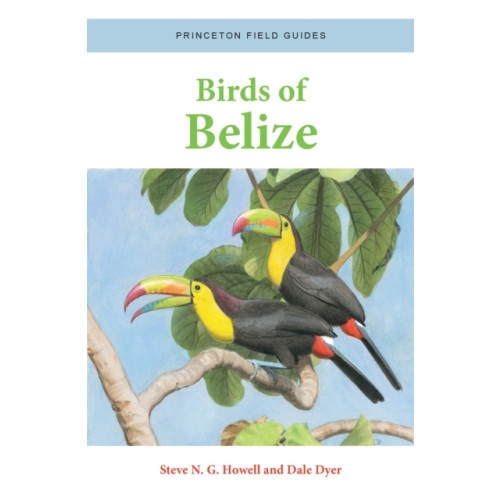 Princeton University Press Birds of Belize (häftad, eng)