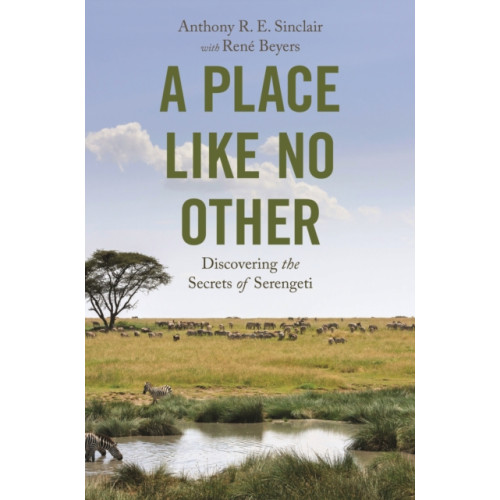Princeton University Press A Place like No Other (inbunden, eng)