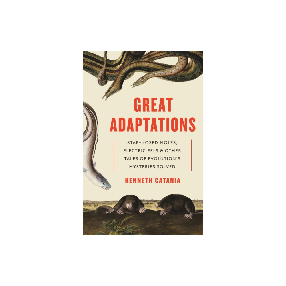 Produktbild för Great Adaptations (häftad, eng)