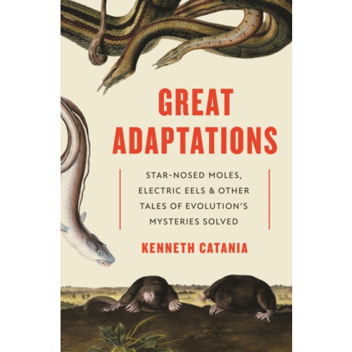 Princeton University Press Great Adaptations (häftad, eng)
