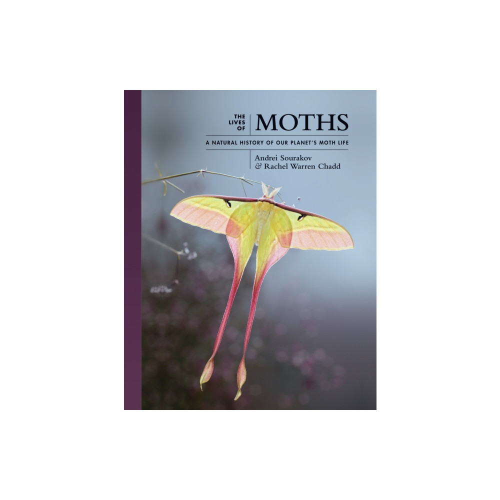 Produktbild för The Lives of Moths (inbunden, eng)