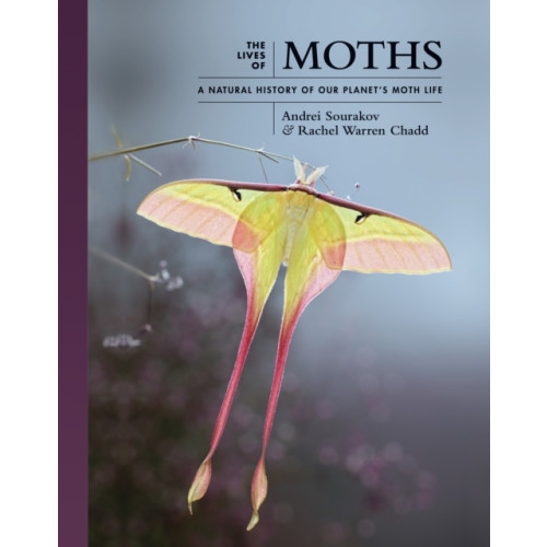 Princeton University Press The Lives of Moths (inbunden, eng)