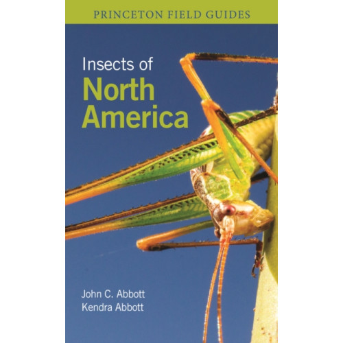 Princeton University Press Insects of North America (häftad, eng)