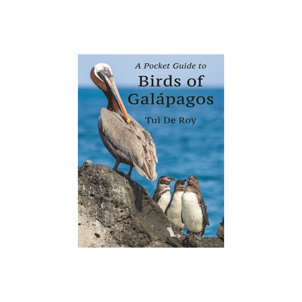 Produktbild för A Pocket Guide to Birds of Galapagos (häftad, eng)