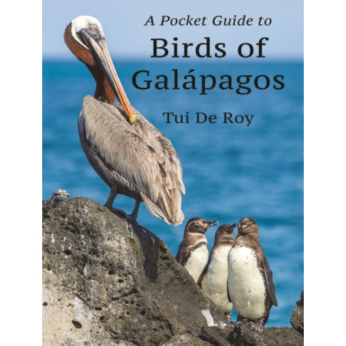 Princeton University Press A Pocket Guide to Birds of Galapagos (häftad, eng)