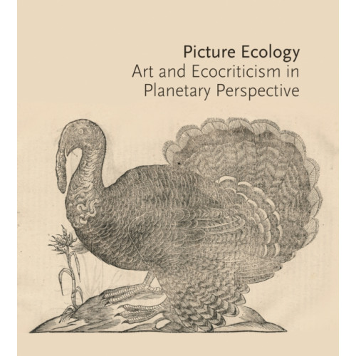 Princeton University Press Picture Ecology (häftad, eng)
