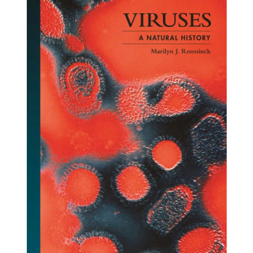 Princeton University Press Viruses (inbunden, eng)