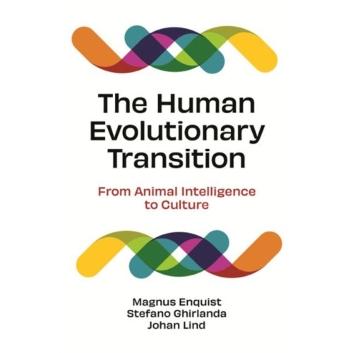Princeton University Press The Human Evolutionary Transition (häftad, eng)