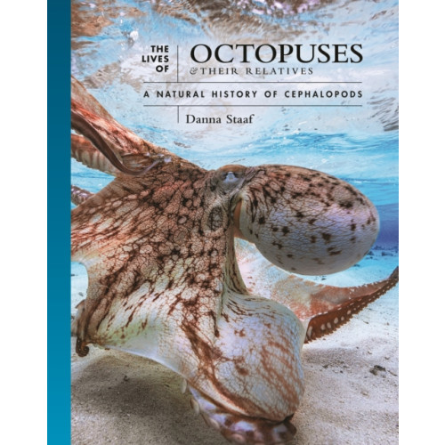 Princeton University Press The Lives of Octopuses and Their Relatives (inbunden, eng)