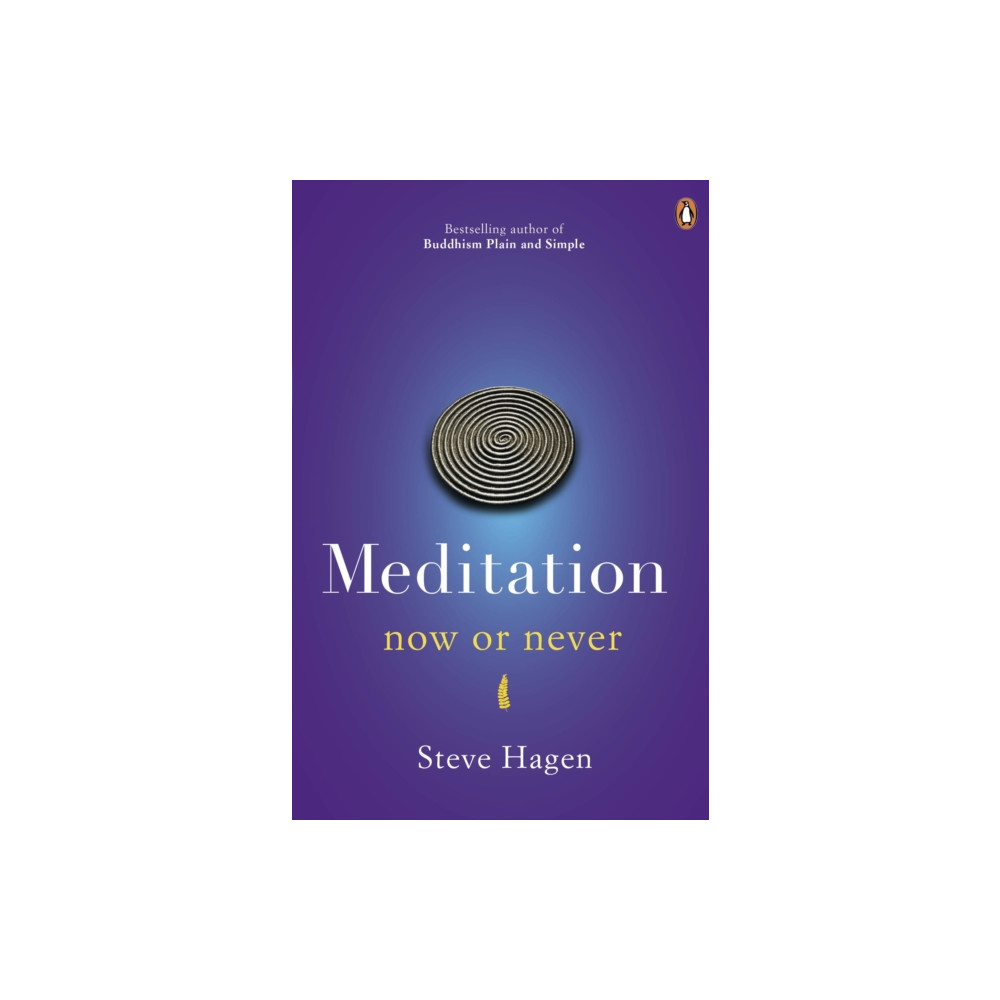 Produktbild för Meditation Now or Never (häftad, eng)