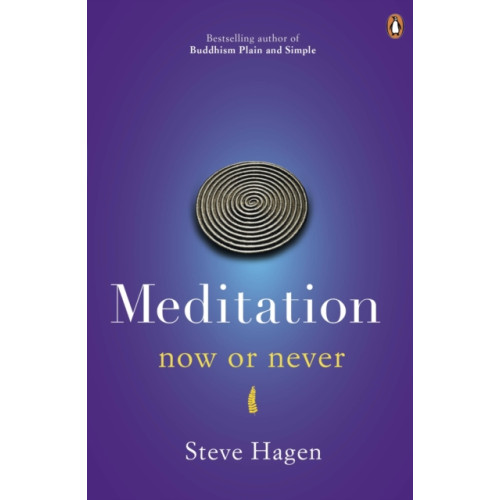 Penguin books ltd Meditation Now or Never (häftad, eng)