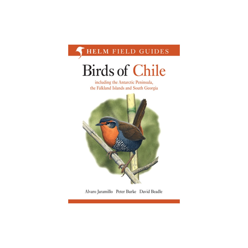Produktbild för Birds of Chile (häftad, eng)