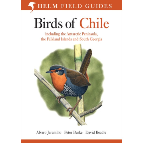 Bloomsbury Publishing PLC Birds of Chile (häftad, eng)