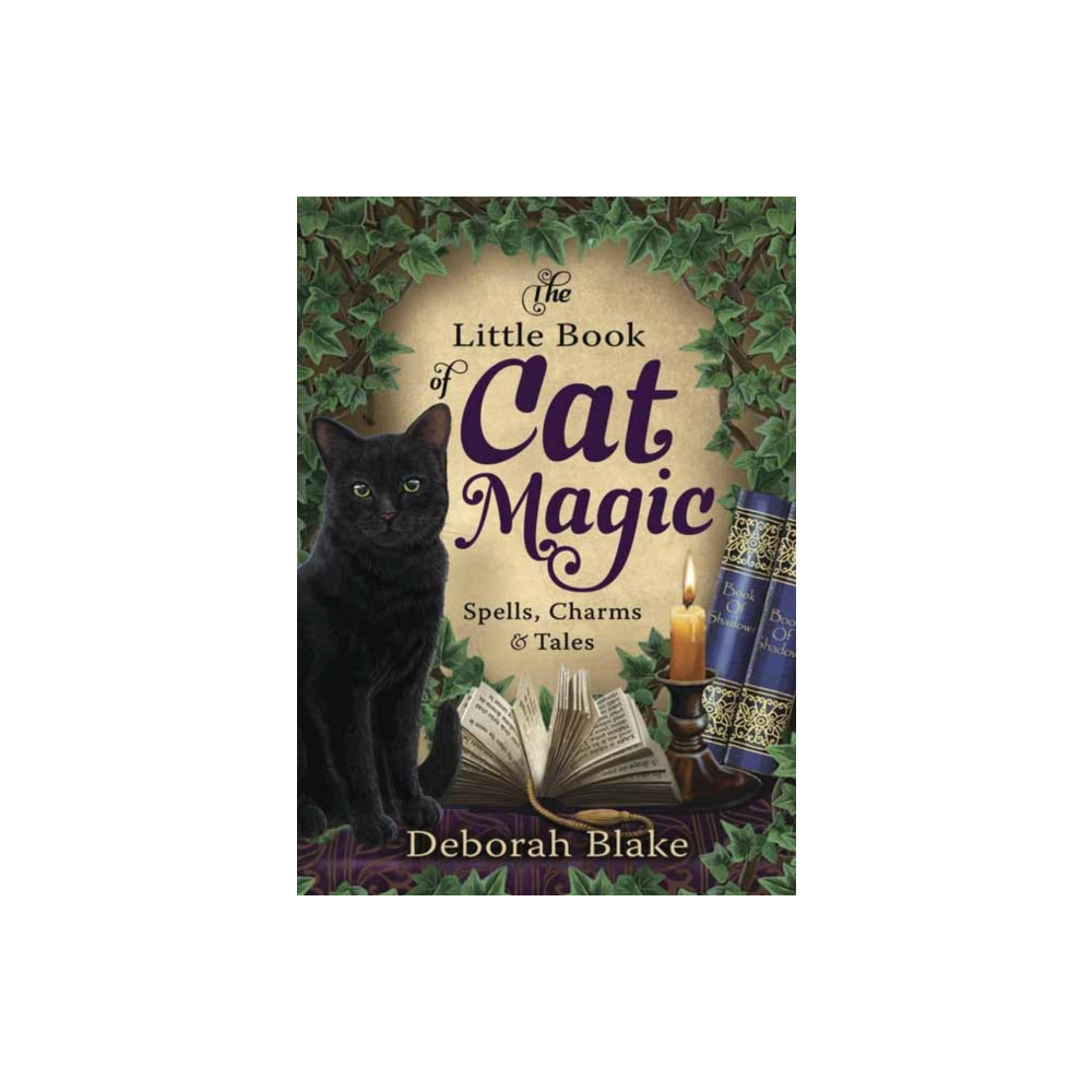 Produktbild för The Little Book of Cat Magic (häftad, eng)