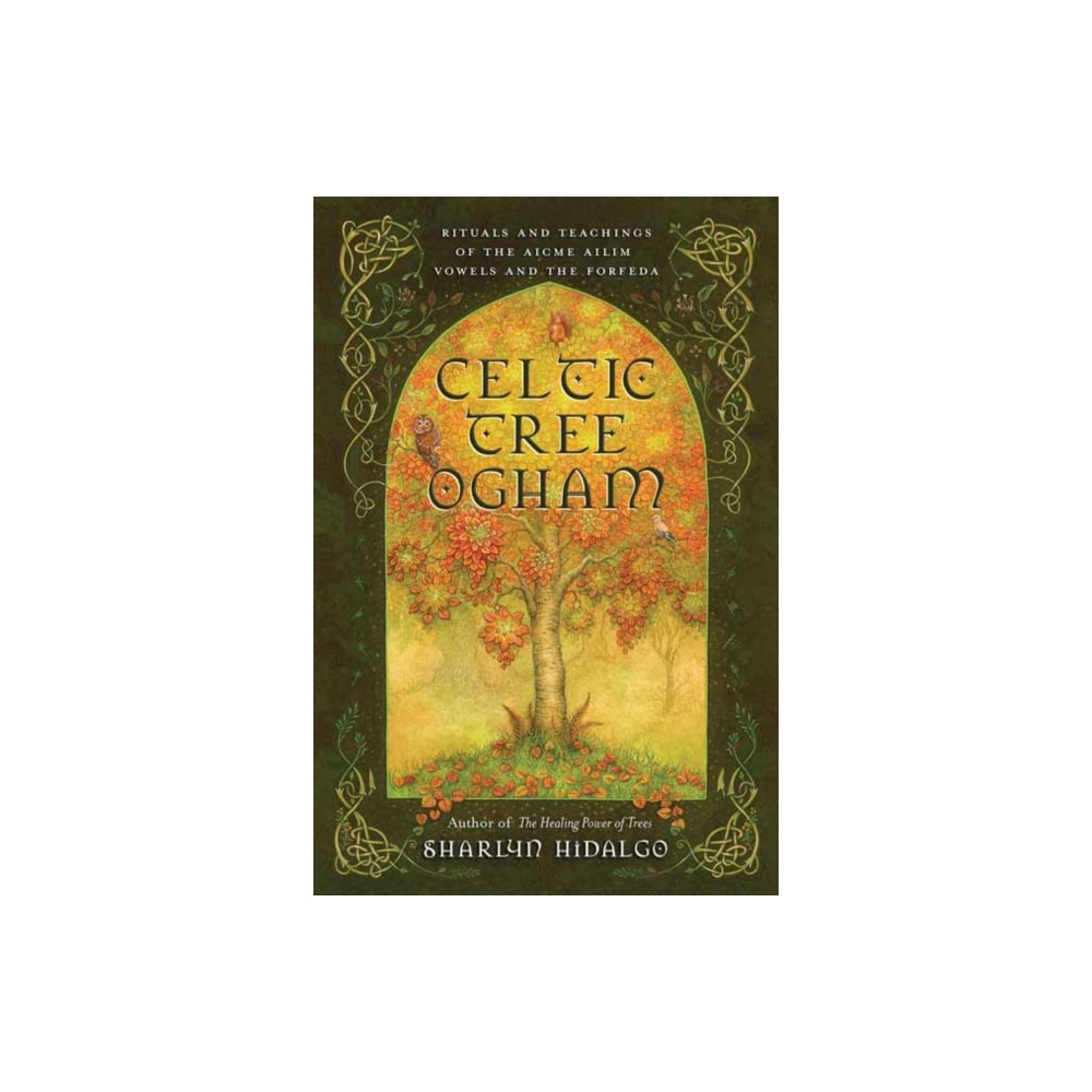 Produktbild för Celtic Tree Ogham (häftad, eng)