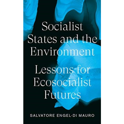 Pluto Press Socialist States and the Environment (häftad, eng)