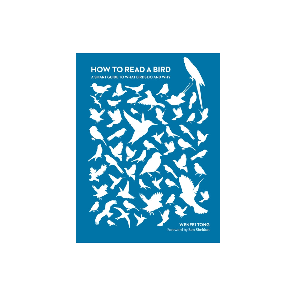 Produktbild för How to Read a Bird (häftad, eng)