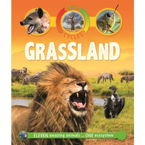 Pan Macmillan Life Cycles: Grassland (häftad, eng)