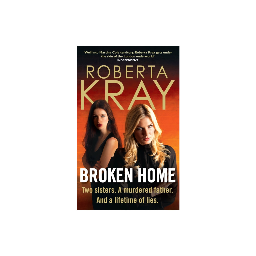 Produktbild för Broken Home (häftad, eng)