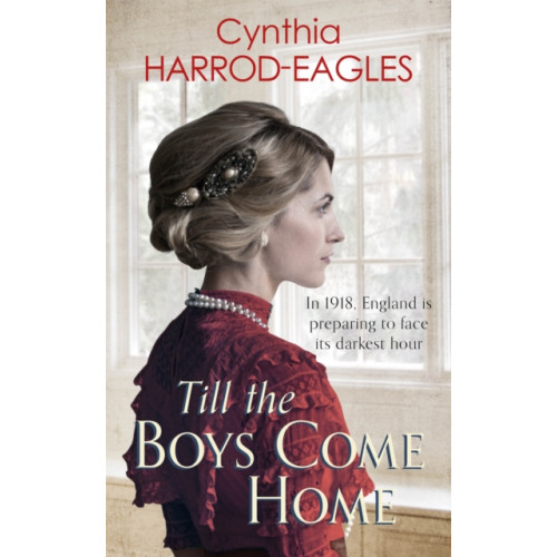 Little, Brown Book Group Till the Boys Come Home (häftad, eng)