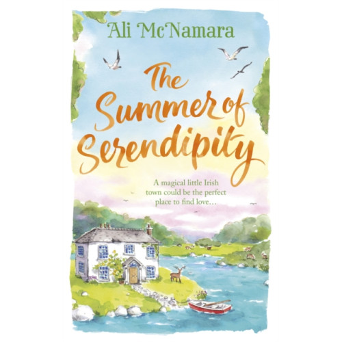 Little, Brown Book Group The Summer of Serendipity (häftad, eng)
