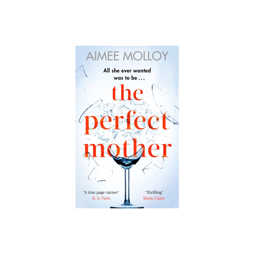 Produktbild för The Perfect Mother (häftad, eng)