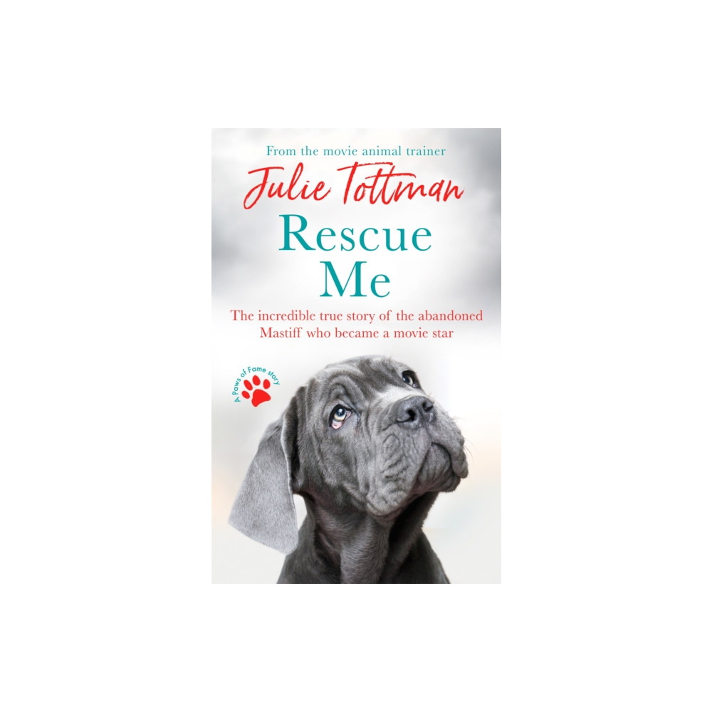 Produktbild för Rescue Me (häftad, eng)