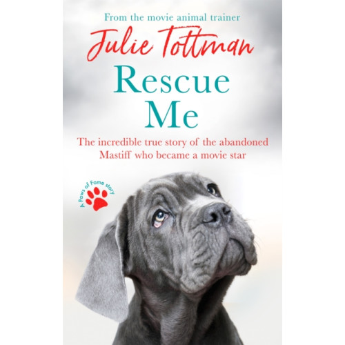 Little, Brown Book Group Rescue Me (häftad, eng)