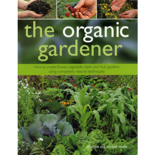 Anness publishing Organic Gardener (inbunden, eng)