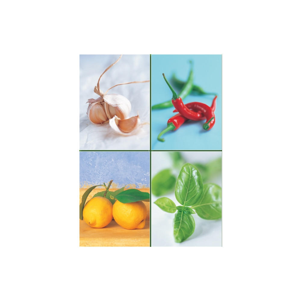 Produktbild för Set of Four Magnetic Notepads: Herbs (häftad, eng)