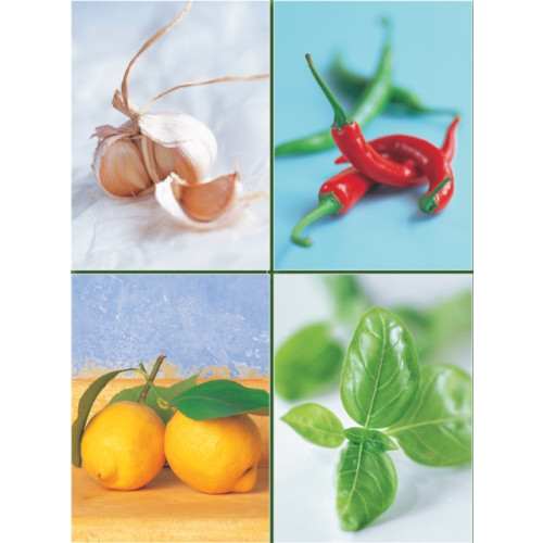 Anness publishing Set of Four Magnetic Notepads: Herbs (häftad, eng)