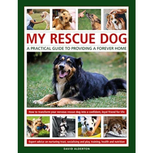 Anness publishing My Rescue Dog: A practical guide to providing a forever home (inbunden, eng)