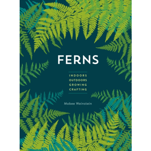 Quarto Publishing Group USA Inc Ferns (häftad, eng)