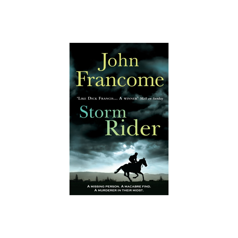 Produktbild för Storm Rider (häftad, eng)