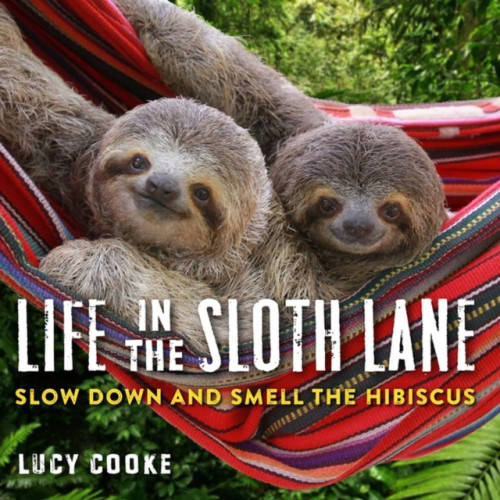 Workman Publishing Life in the Sloth Lane (inbunden, eng)